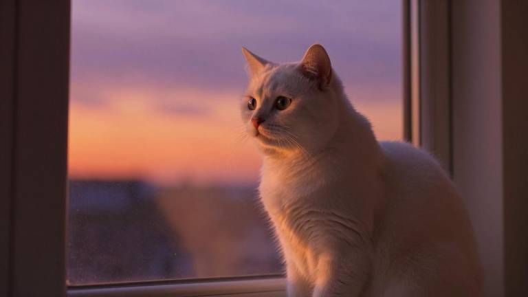 Manus的300天第一张图